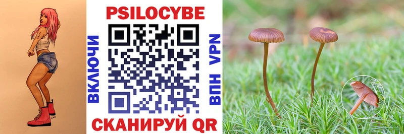 Псилоцибиновые грибы ЛСД  blacksprut как зайти  Карабулак 