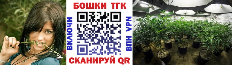 Конопля сатива  Карабулак 